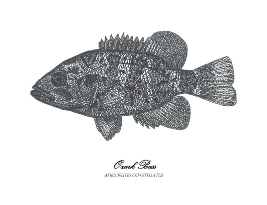 Ozark bass print